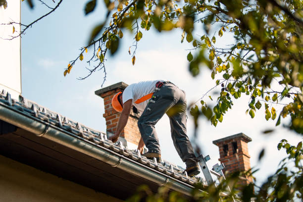 Best Sealant for Roof  in Nashville, MI