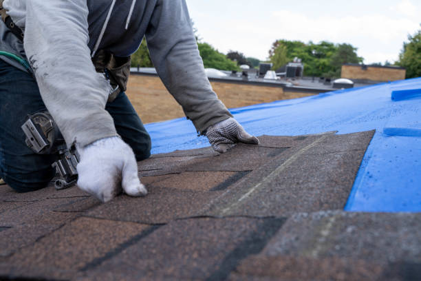 Quick and Trustworthy Emergency Roof Repair Services in Nashville, MI