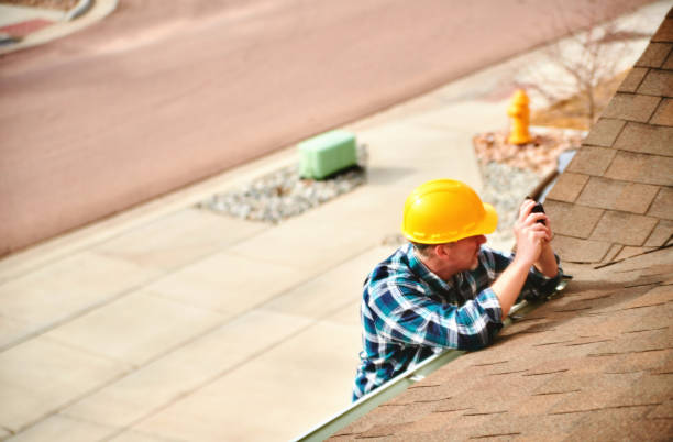 Best Roof Repair Services  in Nashville, MI