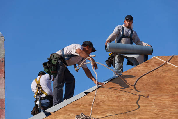Best Commercial Roofing Services  in Nashville, MI
