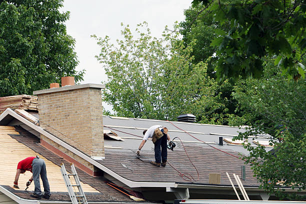 Best Affordable Roof Replacement  in Nashville, MI