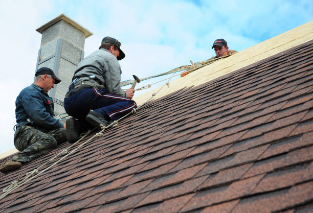 Best Roof Inspection Near Me  in Nashville, MI