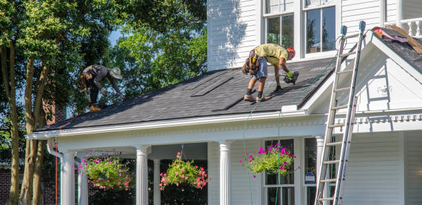 Best Roof Repair Services  in Nashville, MI