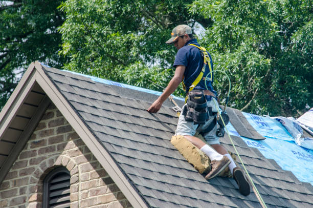 Best Residential Roofing Contractor  in Nashville, MI